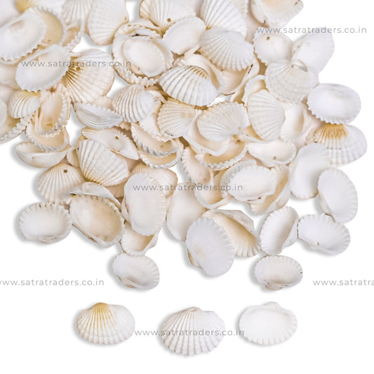 Ceramic Cowri Shells | Qty : 100g approx 150pcs | PB34