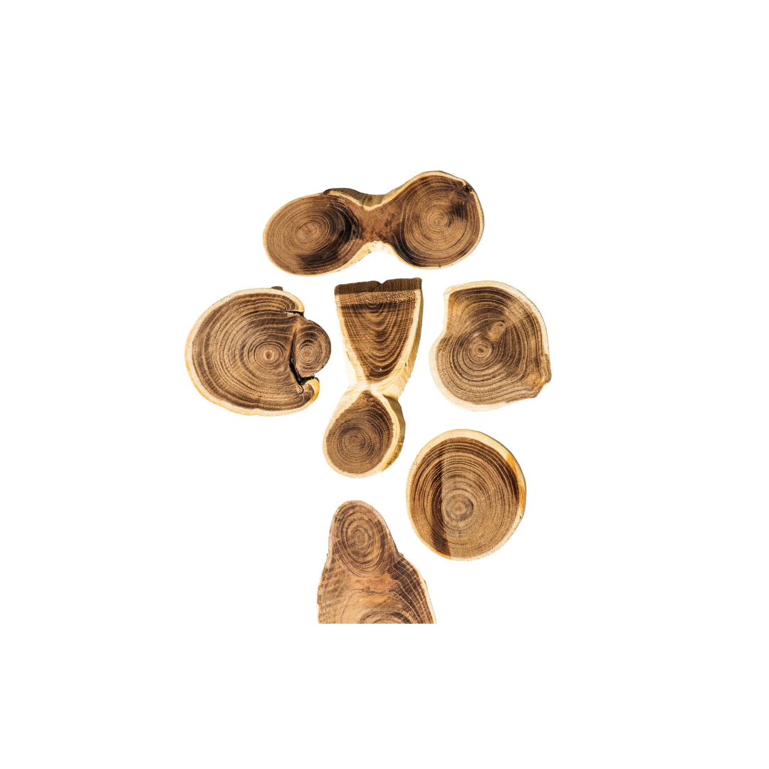 Wooden Slices | Size : 2 inch to 2.5 inch | Qty : 5pcs | WS09