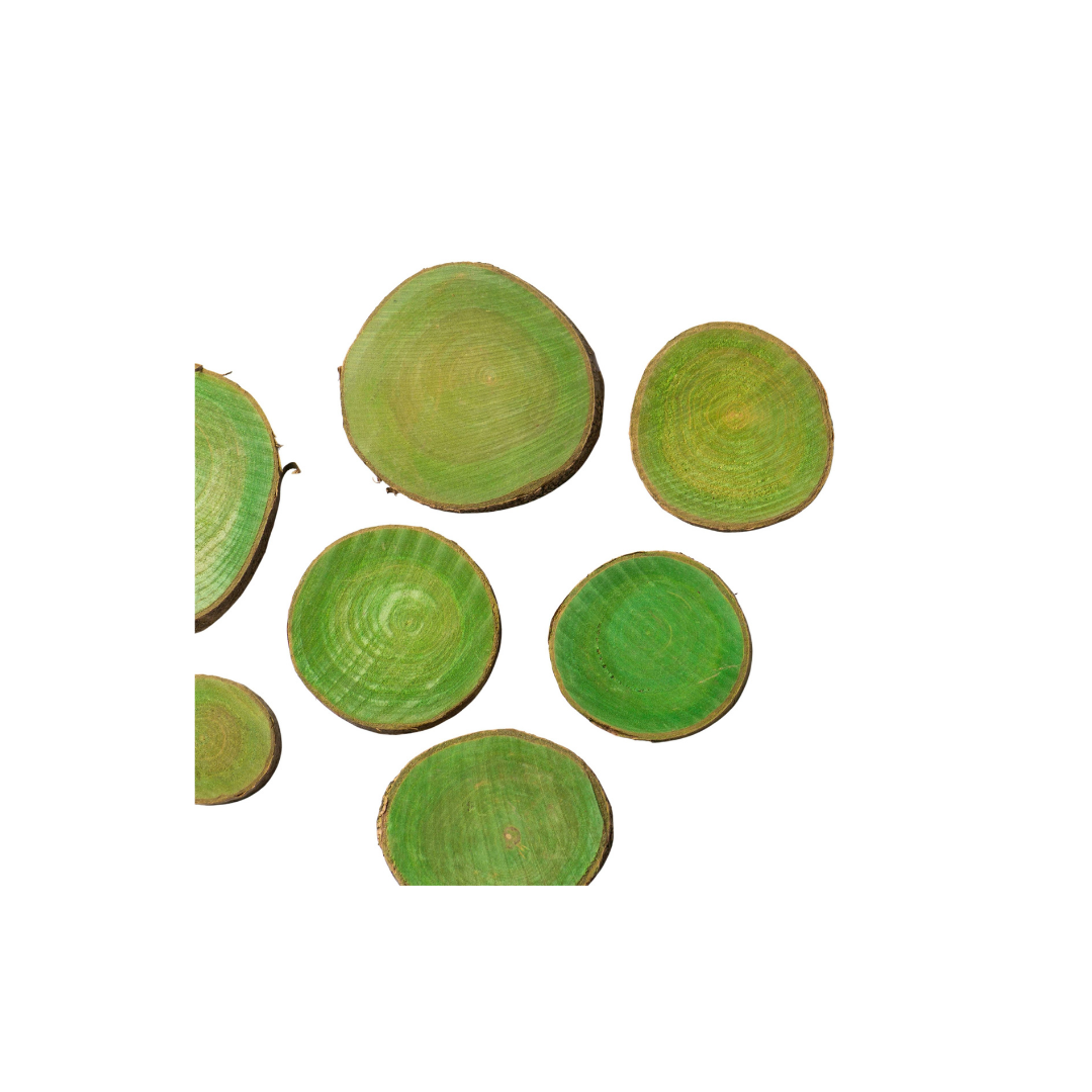 Wooden Slices | Size : 1.5 inch to 2.5 inch | Qty : 50pcs | WS05