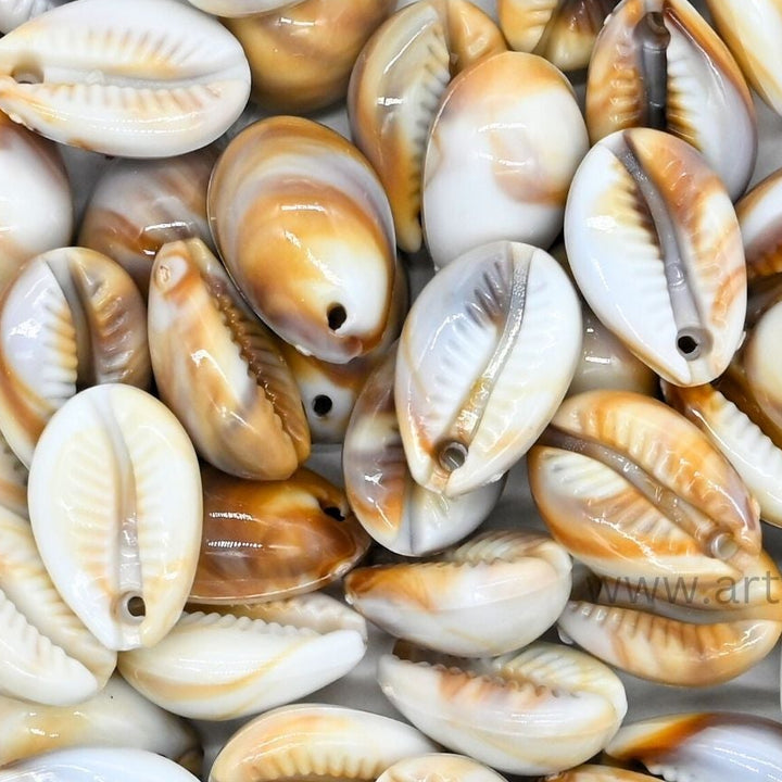 Plastic Cowri Shells (1-hole) | Size : 18mm