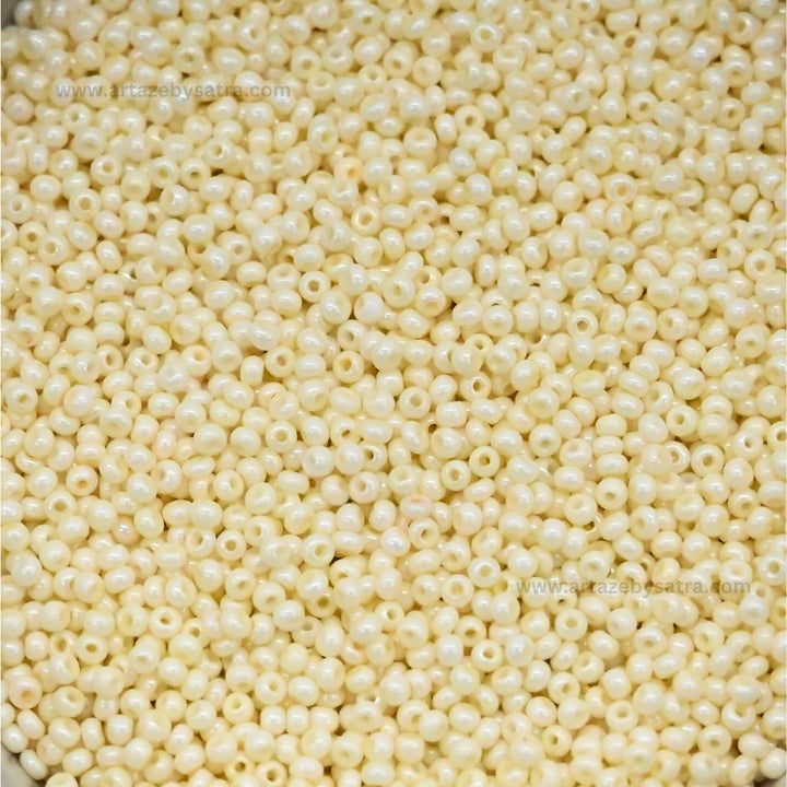 Rainbow Seed Glass Beads | SB02