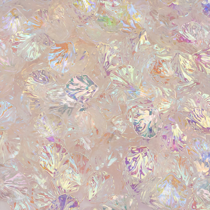 Transparent Rainbow Acrylic Pearl Shell With Hole  | Qty : 50pcs | PB193