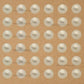 2 Hole Crush Shiny Finish Cream Round Plastic Pearl Beads | Qty : 500g | PPB03