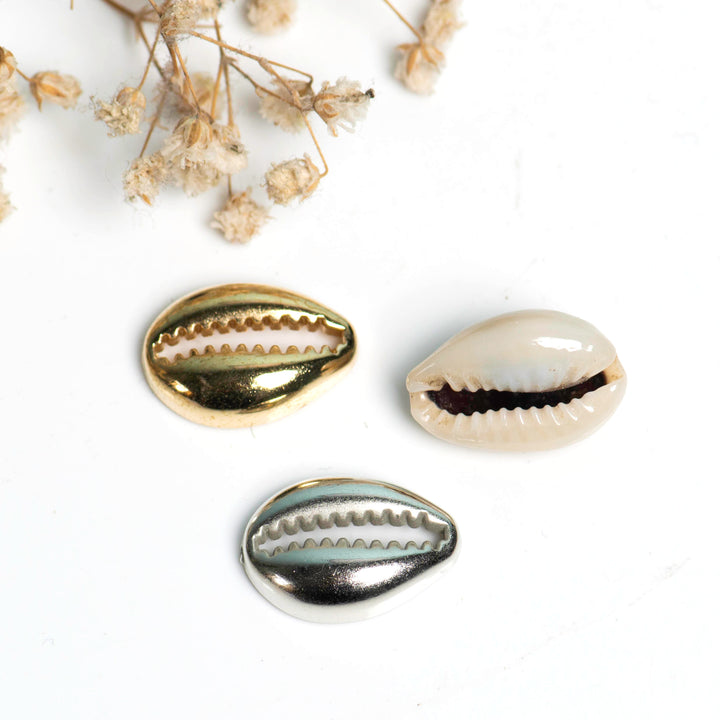 Cowri Shells | Size : 14mm | Qty : 100g